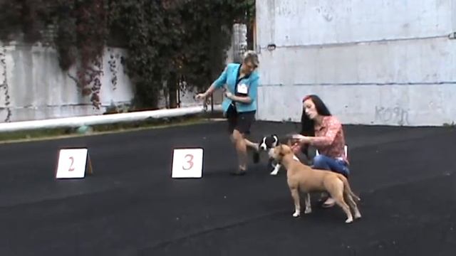 AZUL BAHIA S ALMAZNOGO OSTROVA смотреть онлайн