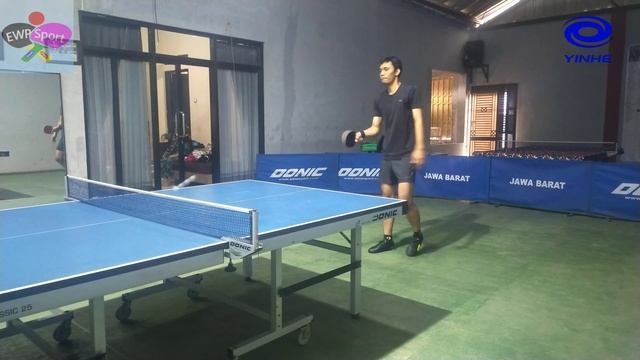 Yinhe Moon Pro Medium | Best Seller | Table Tennis Rubber Review