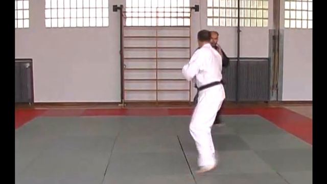 JU JUTSU COMPACT - 3