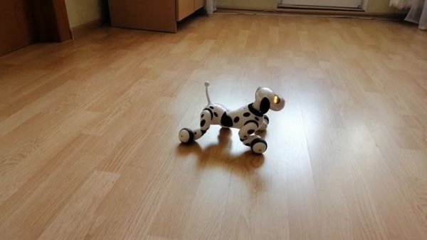 Тима играет с собачкой роботом   Tim plays with the dog robot