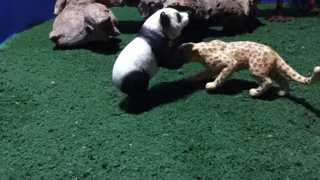 Panda VS Leopard смотреть онлайн