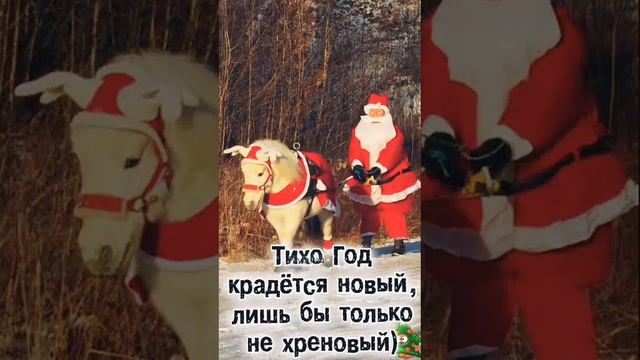 Тихо год крадётся новый, лишь бы только не хреновый 🤣 

#новыйгод #юмор #новыйгод2025