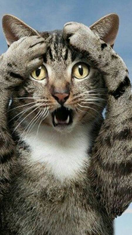 Кто первый возьмет, тот и играет. смотреть онлайн