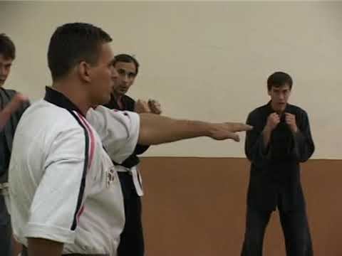 Альтернативное Хапкидо. Часть 1