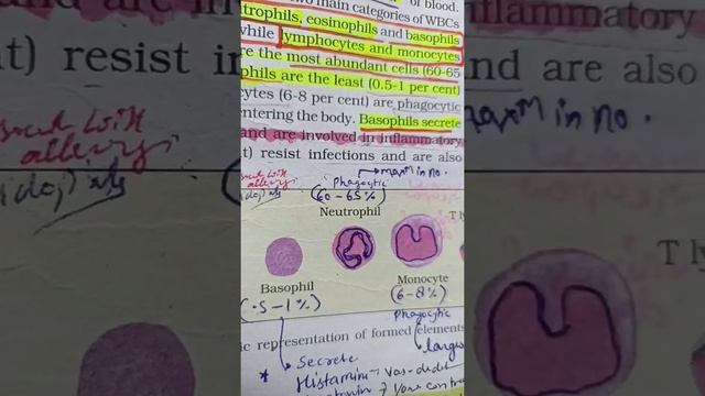 #biology Circulation System♥️♥️🫀 #neet #short