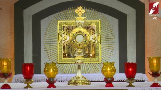 Divine Mercy Adoration Live Today | Glen and Teresa | 24 April | Divine Goodness TV смотреть онлайн