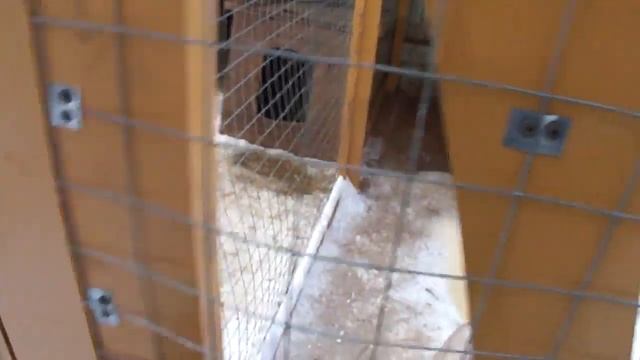 M4H00870.MP4 смотреть онлайн