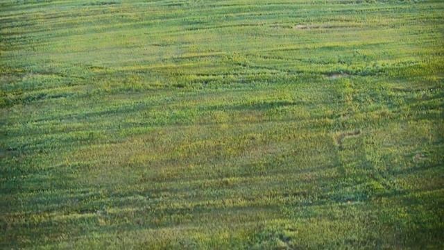 Тестовые полеты 04/07 (004) видео с SD камеры смотреть онлайн