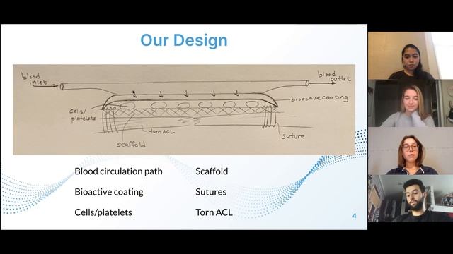Team 16 Therapeutic Implant for ACL Repair and Regeneration смотреть онлайн