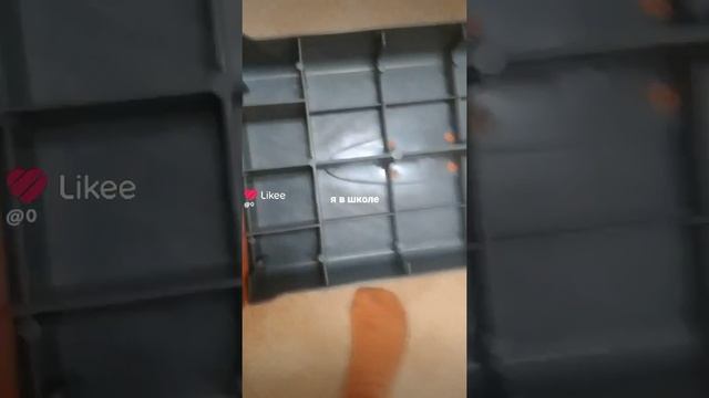 ч̠т̠о̠ э̠т̠о̠???? смотреть онлайн