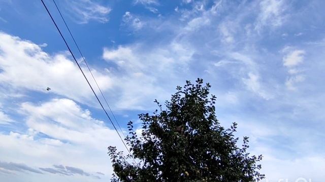 13 Августа, покрылись 60 головатых на 2 часа смотреть онлайн