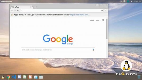 Where's the penguin in Linux?
