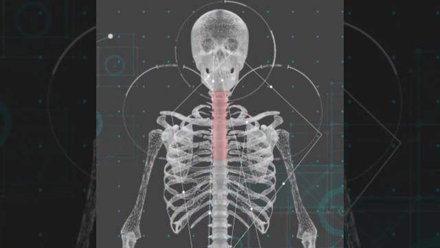 Причины ГОЛОВНЫХ болей называет Невролог Горбачев Н. В.