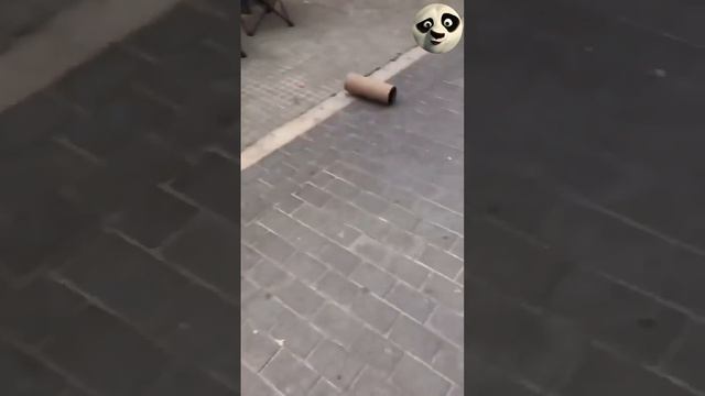 Корпорация Юмора - Видео Корпорация Юмора смотреть онлайн