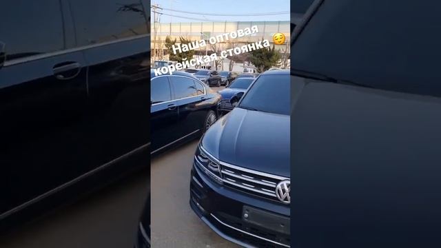 Авто из Кореи оптом, наша стоянка в Корее 14 февраля😘 смотреть онлайн