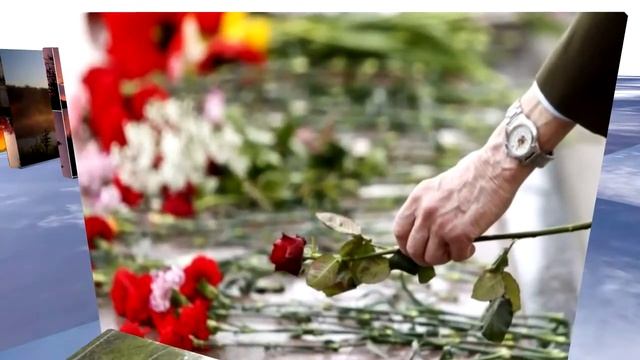 MY BELARUS 2014. МОЯ БЕЛАРУСЬ 2014 смотреть онлайн