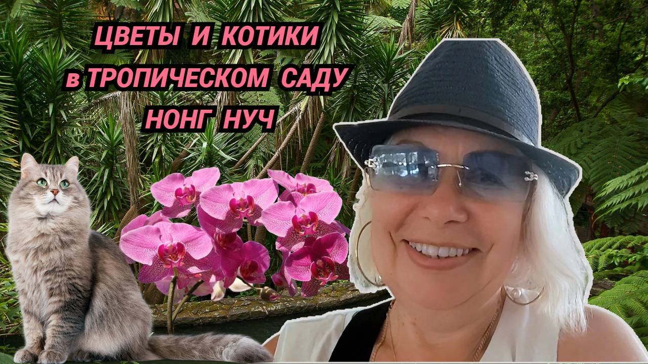 Паттайя влог/Приехали в Нонг Нуч/Купила растения в банках/Трансов посмотрели/Котики в воротничках смотреть онлайн