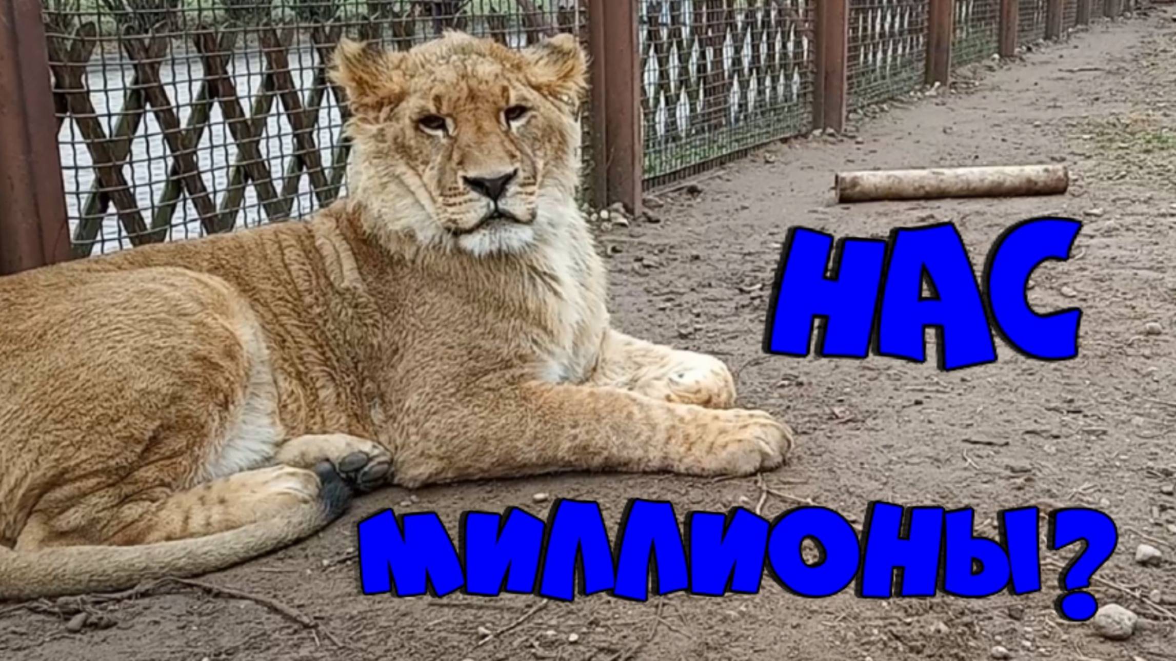 Миллион голосов за ШЕРХАНА? / Новости на 9 декабря. Ответ от БЕЛОРУССКОГО УПРАВЛЕНИЯ ГОСВЕТНАДЗОРА. смотреть онлайн