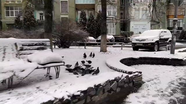 Олек Мис - БЖ БОЛЬШАЯ ЖИТОМИРСКАЯ (новинка 2020) смотреть онлайн