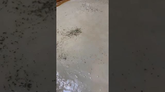 Ароматный путь