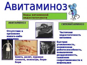 Истинные причины авитаминоза (часть 1) витамины Д,К,Е,А