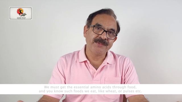 Important foods: Proteins and Amino Acids (Part 1) смотреть онлайн