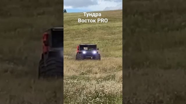 Тундра Восток PRO смотреть онлайн