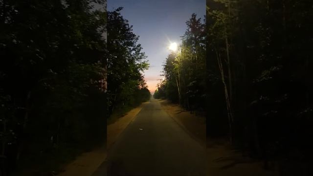 Сосновый бор Ленинградская область пляж море финский залив песок смотреть онлайн