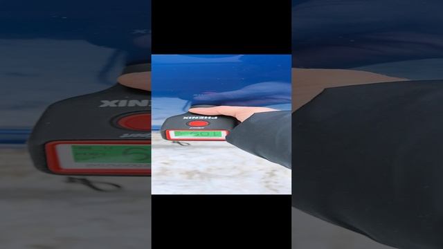 VID_20241211_114642.mp4 смотреть онлайн