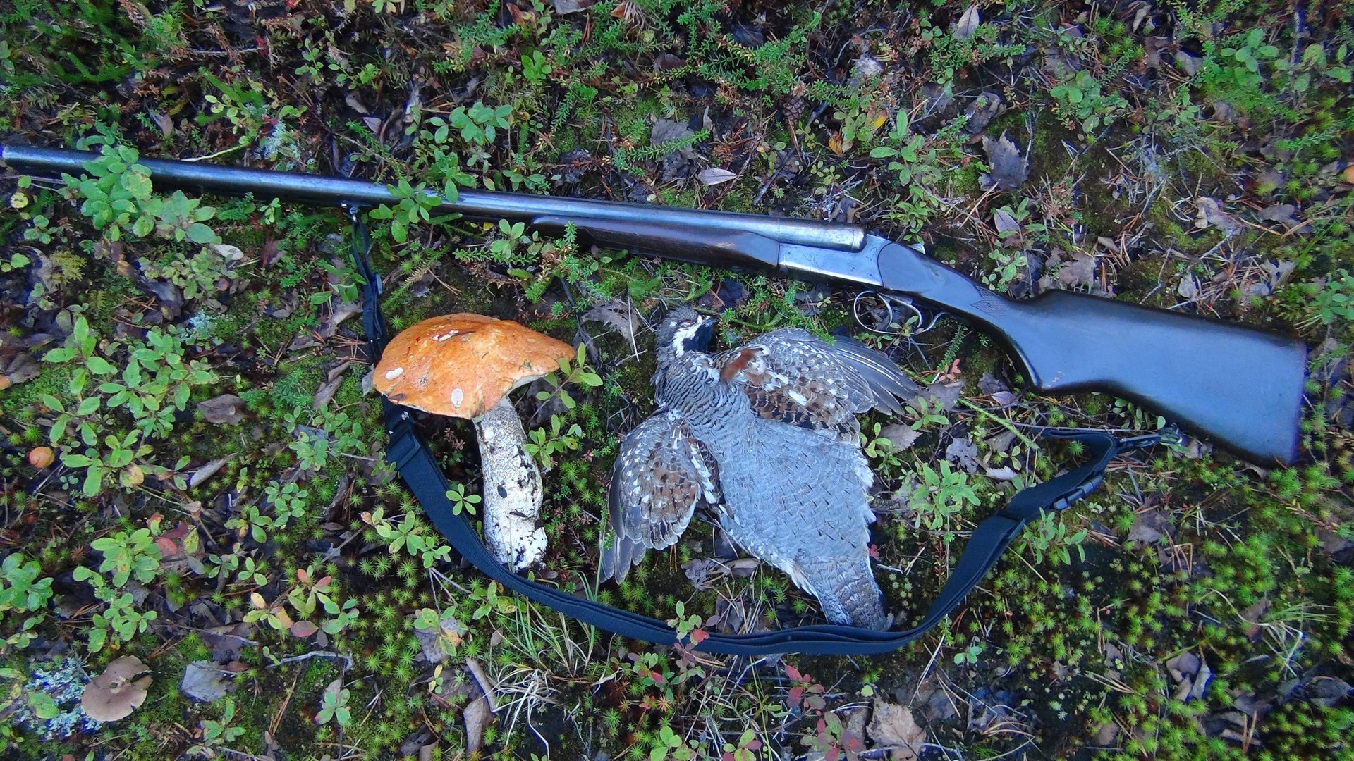 Знакомство с Карелией по-семейному Навстречу приключениям Часть 4 смотреть онлайн