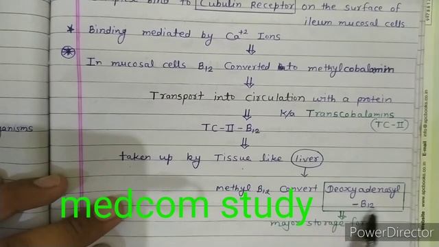 Vitamin - B12 смотреть онлайн