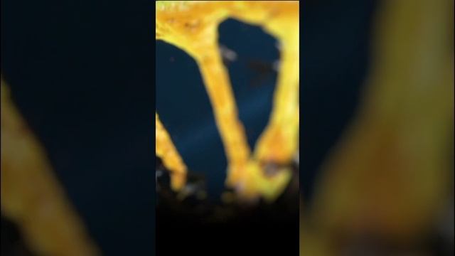 Загадка молекулы NАD смотреть онлайн