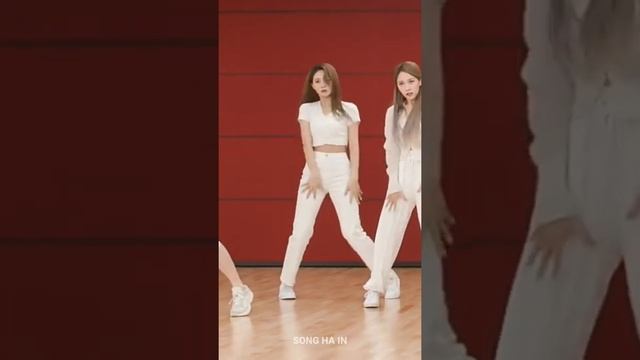 TZUYU TWICE 'Cry For Me' Dance Practice Focus Fancam MIRRORED