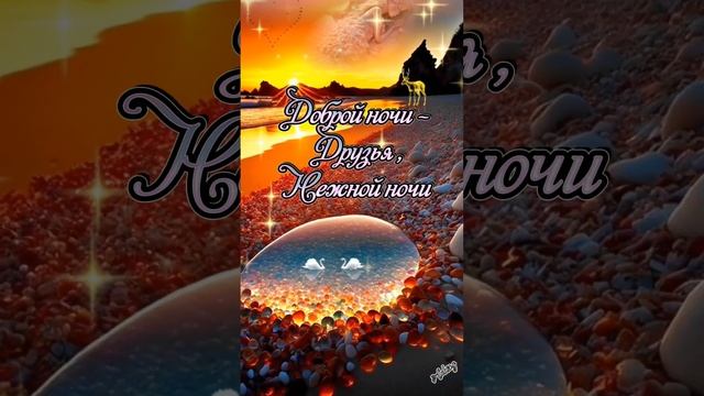 #спокойнойночи смотреть онлайн