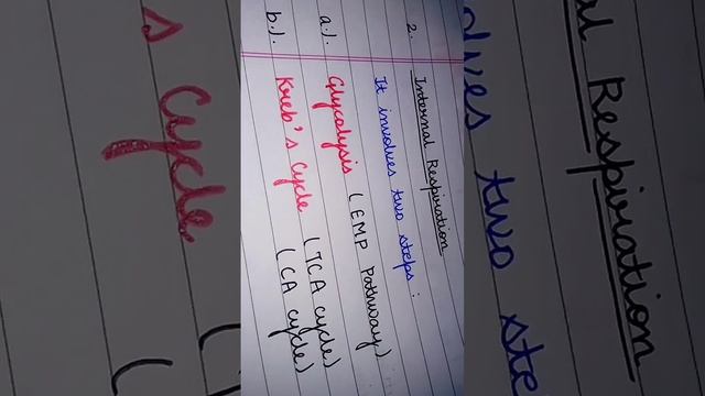 Steps involved in Internal respiration.....#neet смотреть онлайн