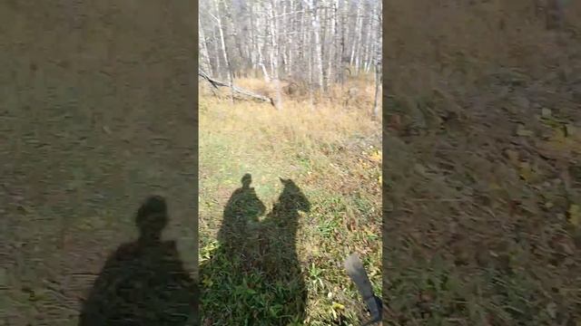 первая серия малыш в внутри смотреть онлайн