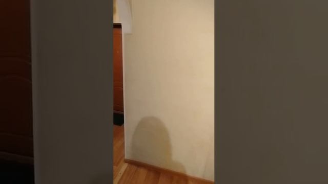 гер васильева смотреть онлайн
