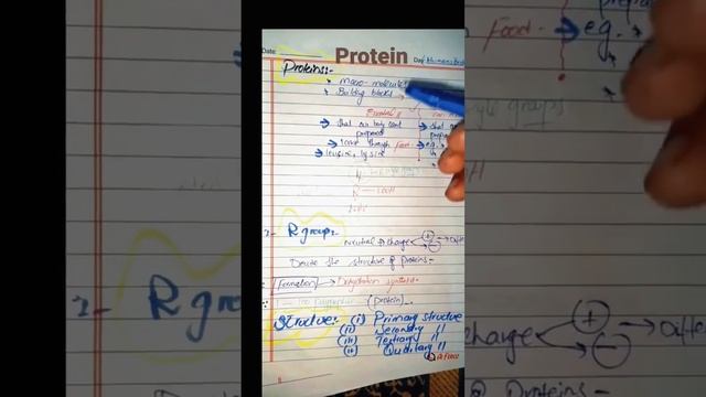what is protein?? Amino acids.#protein #biologyclass смотреть онлайн