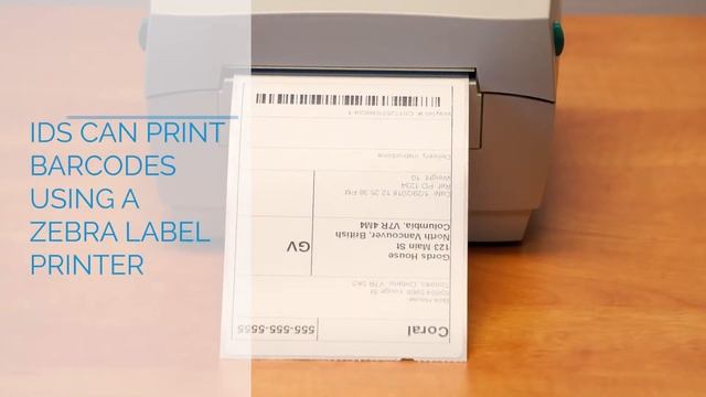IDS 2 Dispatch - Waybill - for our Barcode Scanning App смотреть онлайн