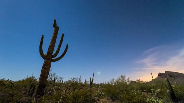 Radian Time Lapse Examples смотреть онлайн