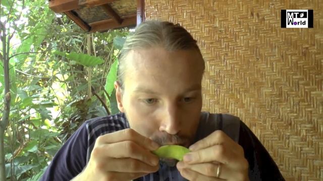 Oroblanco the best citrus fruit смотреть онлайн
