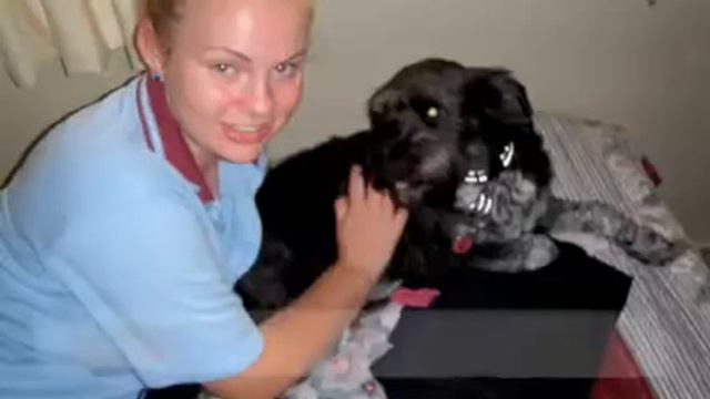 Sample Digital Narrative смотреть онлайн