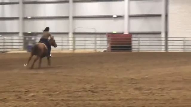 King City 11/15 59 Cadillac