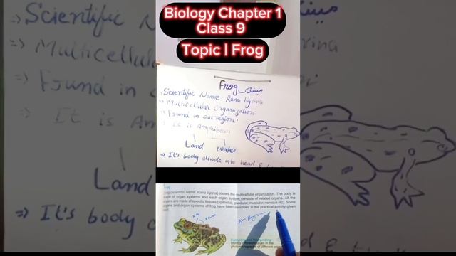 Topic | Frog. Biology Chapter 1 Class 9. #biology смотреть онлайн