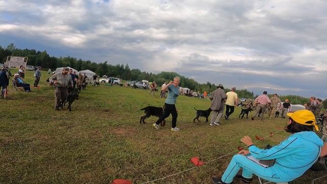 XIII Всероссийская выставка охотничьих собак 11-13 июля 2022г. смотреть онлайн