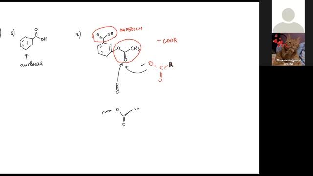 ОХ ЗОМ 3 группа 5 урок смотреть онлайн