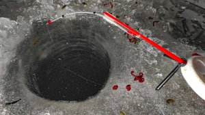 В ЧËРНОЙ ДЫРКЕ КРУПНЯК ЗАГИБАЕТ КИВОК! КАРАСИ ЛАПТИ на МОРМЫШКУ. Зимняя рыбалка 2025