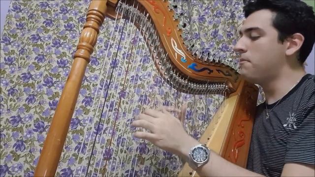 Cristian Javier- BOHEMIAN RHAPSODY - Queen- FREDDIE MERCURY (Cover) en Arpa Paraguaya (Fragmento) смотреть онлайн