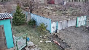 Сова на даче! на заборе!