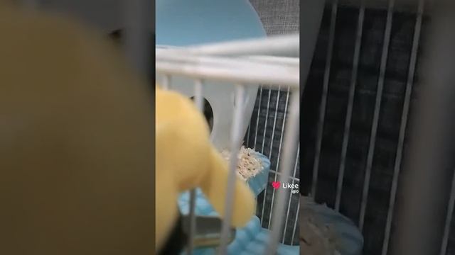 .?.??? смотреть онлайн